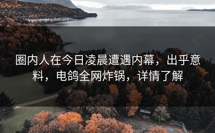 圈内人在今日凌晨遭遇内幕,出乎意料,电鸽全网炸锅,详情了解