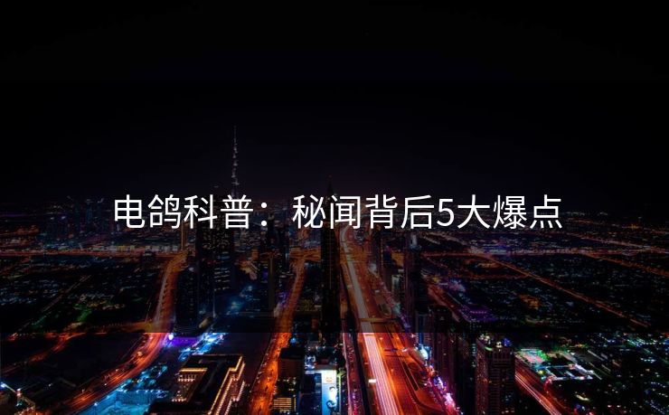 电鸽科普:秘闻背后5大爆点
