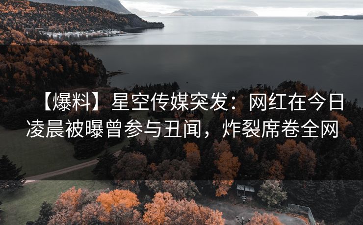 【爆料】星空传媒突发:网红在今日凌晨被曝曾参与丑闻,炸裂席卷全网
