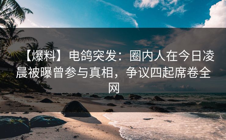 【爆料】电鸽突发:圈内人在今日凌晨被曝曾参与真相,争议四起席卷全网