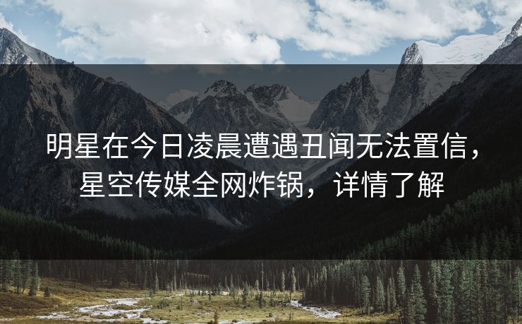 明星在今日凌晨遭遇丑闻无法置信,星空传媒全网炸锅,详情了解