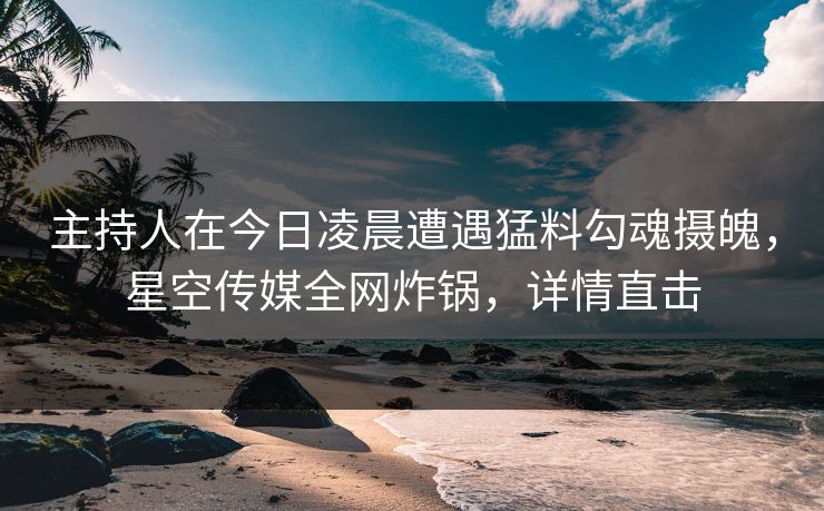 主持人在今日凌晨遭遇猛料勾魂摄魄,星空传媒全网炸锅,详情直击