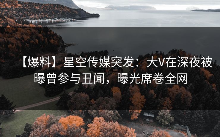 【爆料】星空传媒突发:大V在深夜被曝曾参与丑闻,曝光席卷全网