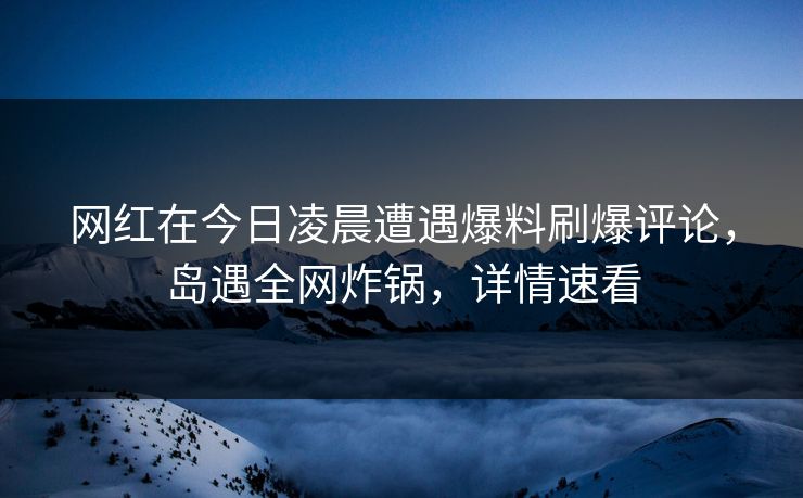 网红在今日凌晨遭遇爆料刷爆评论,岛遇全网炸锅,详情速看
