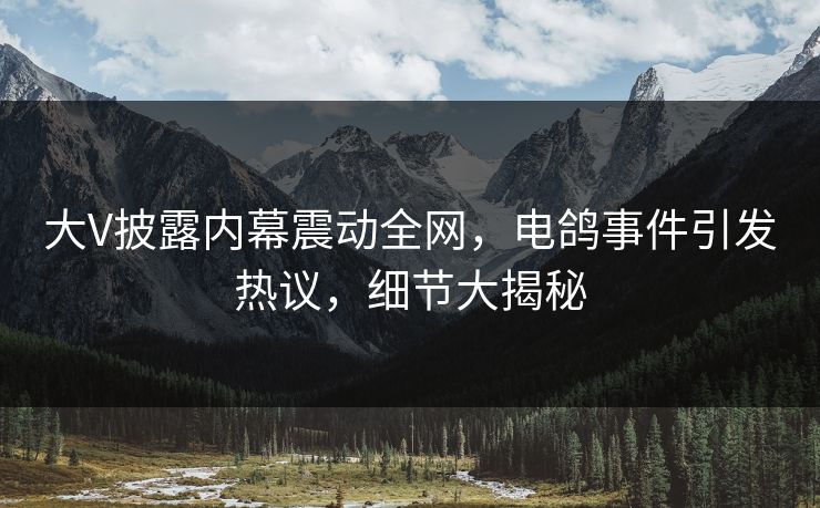 大V披露内幕震动全网,电鸽事件引发热议,细节大揭秘