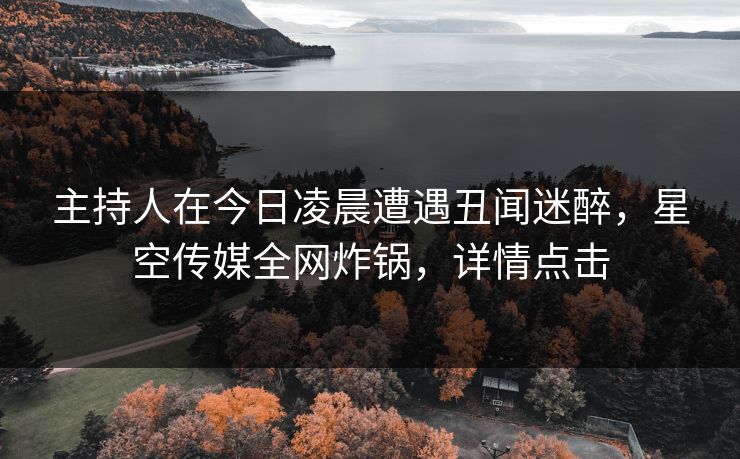 主持人在今日凌晨遭遇丑闻迷醉,星空传媒全网炸锅,详情点击