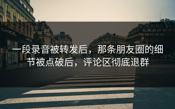 一段录音被转发后，那条朋友圈的细节被点破后，评论区彻底退群