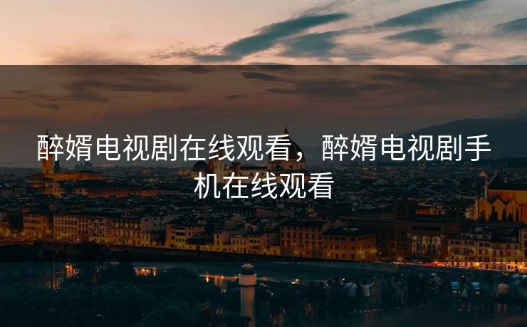 醉婿电视剧在线观看，醉婿电视剧手机在线观看