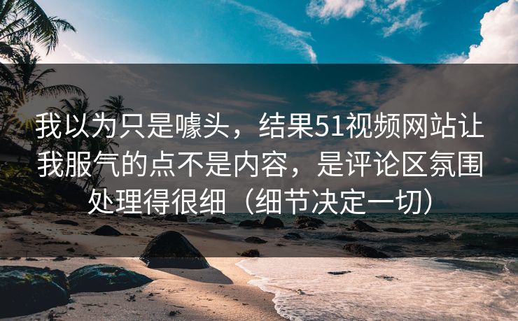 我以为只是噱头，结果51视频网站让我服气的点不是内容，是评论区氛围处理得很细（细节决定一切）